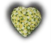 Deuil Coeur