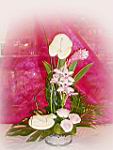 Mariage Composition